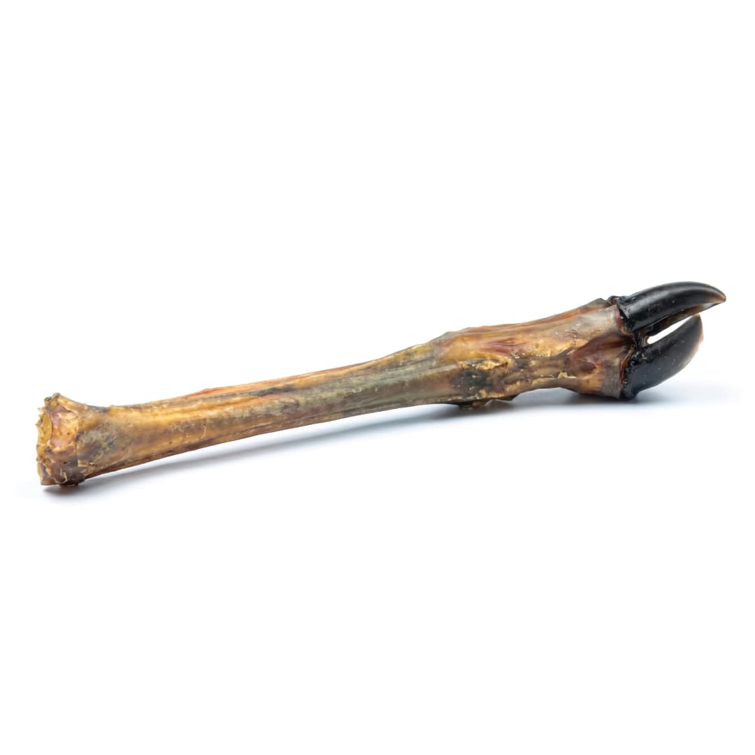 Deer Leg