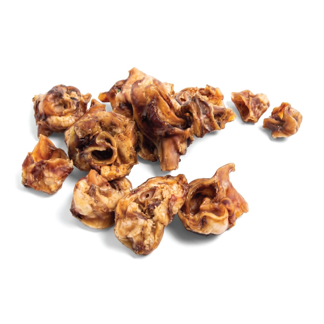 Pig Inner Ear